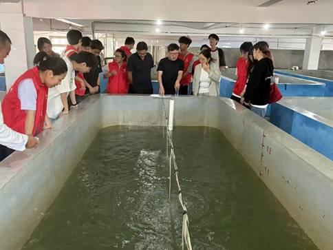 56c62bb53e5e81b3a67038be66e4101